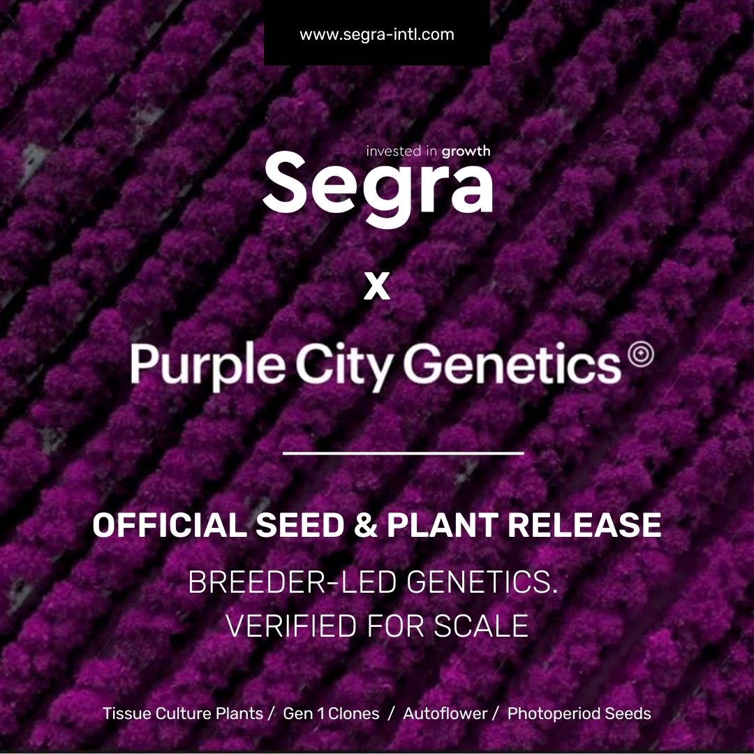 Segra x Purple City Genetics: New Genetics Launch of Plants and Seeds!